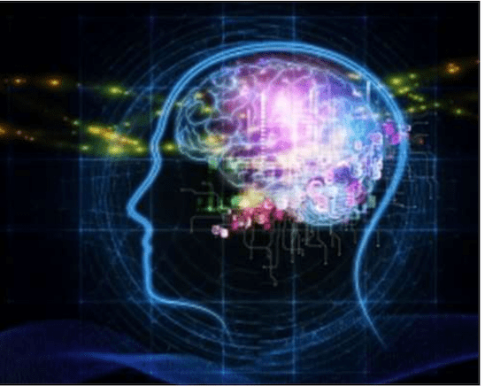Pineal Gland